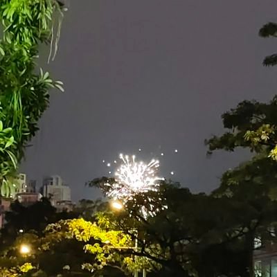 shi_li32553's profile picture. 