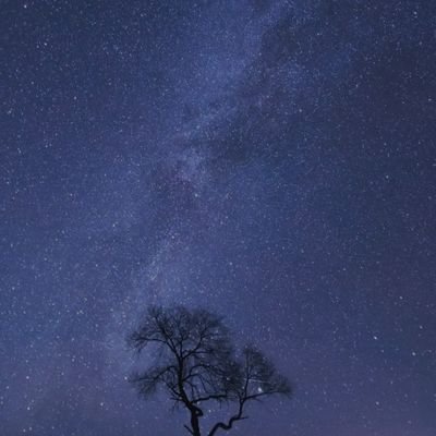 Arrowme3's profile picture. Love the life you live ... Live the life you love