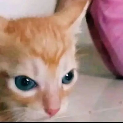 ApjxTHsRbAUG0bd's profile picture. 