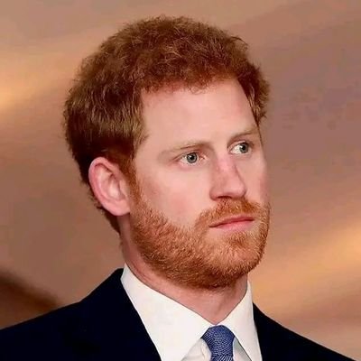 Am Prince Harry Duke of Sussex KCVO and second son to Princess Diana of Wales also a member to the Royal family ninth in the lineage of the British Royal crown