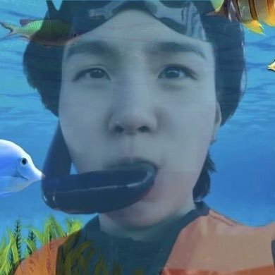 gatitospanzones's profile picture. Detrás de la fachada está el jardín