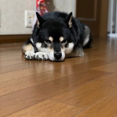 OceeeTrki's profile picture. Chiba Noda 2002/Booking→DM💌