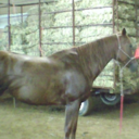 Amber Mcvay - @amber_mcvay - Twitter