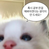 인류애실종(@gipegagosipda) 's Twitter Profile Photo