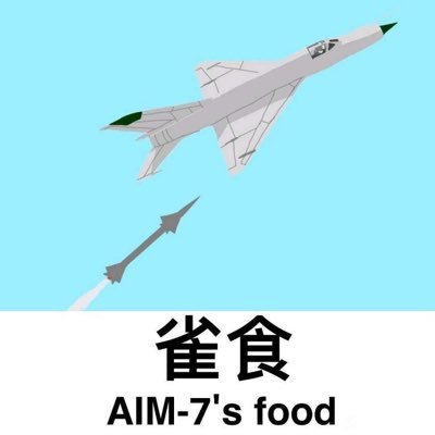 妙呀，我永远喜欢F-101 Voodoo，JAS-39 Gripen，Rafale。 I.J.N，R.N，U.S.N，寄