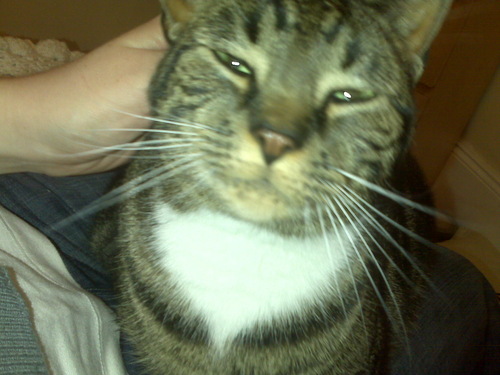 kelbel2203's profile picture. 