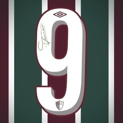 Torcedor do Fluminense Football Club.             VIVA A MÍSTICA CAMISA 9 DO FLU!