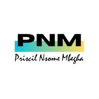 Priscil Nsome Mbegha(@priscilNM) 's Twitter Profile Photo