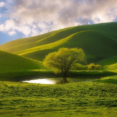 SebastianDRCA's profile picture. 