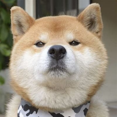 e_kousuke48's profile picture. 