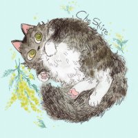 🦒(たま) (@tamaccosunsun) 's Twitter Profile