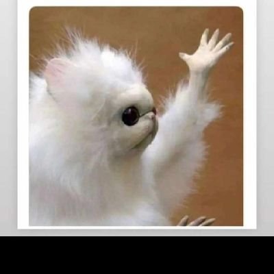 IgweKaydee's profile picture. 