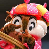 あちゃん (@cp_dfs2) 's Twitter Profile