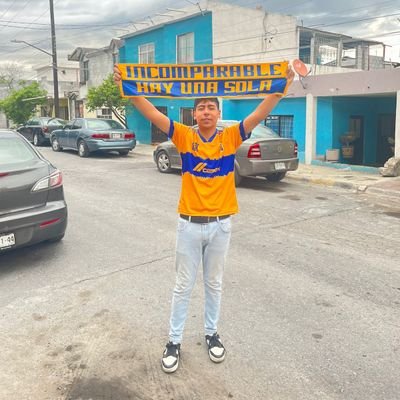 De Tigres Toda la Vida💛💙