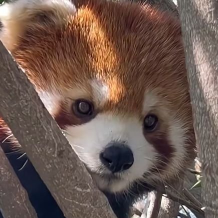 ssuus436694's profile picture. 