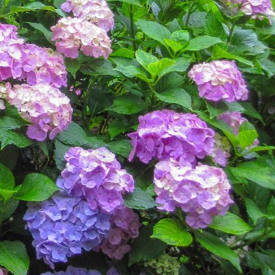 S50年生まれ。家族あり。鍵かけたり外したり投稿消したりします。多方面につぶやきます。ブロックお気軽に。いいねは賛同に限りません。 好き:モンスト・100分 de 名著・シルバニアファミリー・子安さん・諏訪部さん。 アニメゲーム小説マンガともBLもGLも好きになればなんでも。