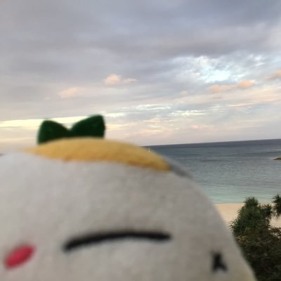 kiSe_0192's profile picture. tus2sB2.教職　綺世（キセ）と申します🫠
大学＆趣味垢
にゃんこ先生を愛してます🫠🫠
どこへ行くにもマイにゃんこ必須です🫠
数学科なのにサークルは理科系です
微分方程式とプログラミングがんばります🫠