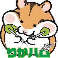 りかハム🐹 (@rika_darts_) Twitter profile photo