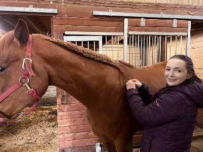 advanced equestrian available to train horses and give instruction to riders