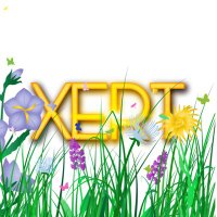 XERT 💫(@xertofficial) 's Twitter Profile Photo
