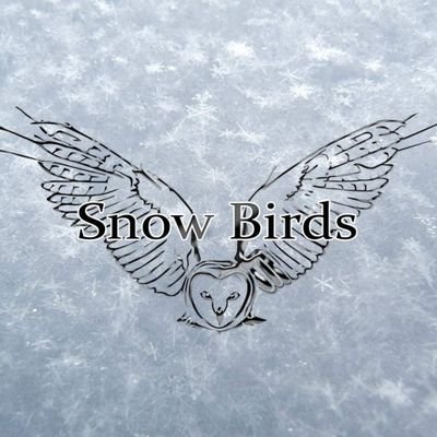 Hello guys! We are the Snow Birds. 🦉🦅