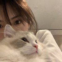 Jean Stringham (@jeanstring26779) 's Twitter Profile