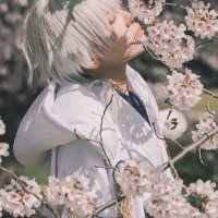 ゆきみや🌸 (@yukimy1018) 's Twitter Profile