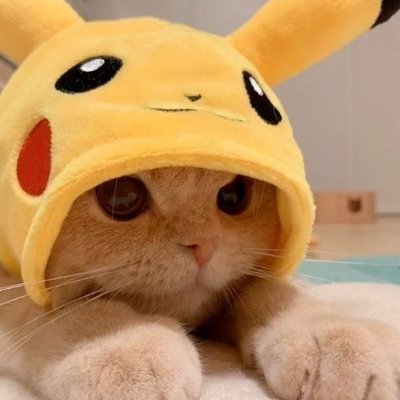 GallichioK66135's profile picture. 