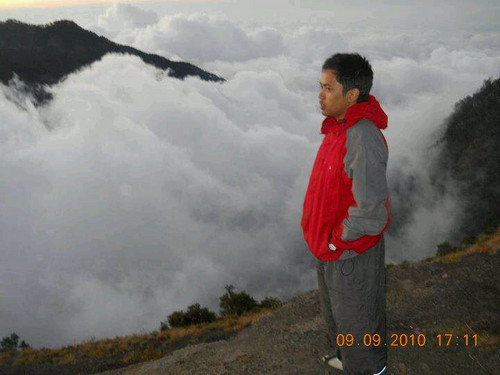 dendy_yoi's profile picture. 