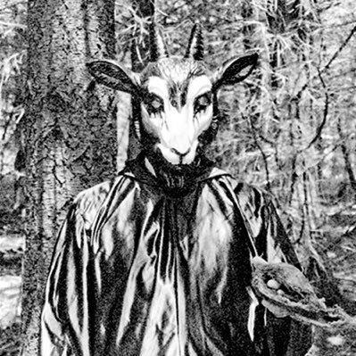 The goat of the woods