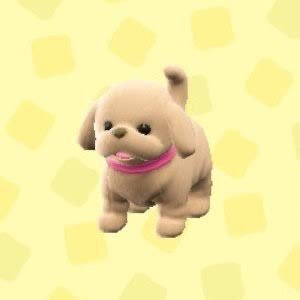 ✮さんのプロフィール画像
