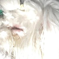 🧐 (@yannnnnziu) 's Twitter Profile