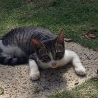 こんこん (@4never4ever) 's Twitter Profile