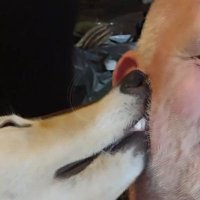 John Bell (@johnbel34148836) 's Twitter Profile Photo John Bell (@johnbel34148836) 's Twitter Profile Photo