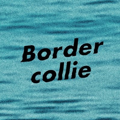 bordercollie_jp's profile picture. 𝙏𝙝𝙚 𝘼𝙡𝙩𝙚𝙧𝙣𝙖𝙩𝙞𝙫𝙚 𝙂𝙧𝙪𝙣𝙜𝙚 𝘽𝙖𝙣𝙙 𝙛𝙧𝙤𝙢 𝙏𝙤𝙠𝙮𝙤. 𝙑𝙤&𝙂𝙩.𝙔𝙪𝙩𝙖𝙧𝙤 𝘽𝙖𝙨𝙨.𝙩𝙠𝙜𝙬 𝘿𝙧𝙪𝙢𝙨.𝙆𝙚𝙞𝙞𝙘𝙝𝙞𝙧𝙤