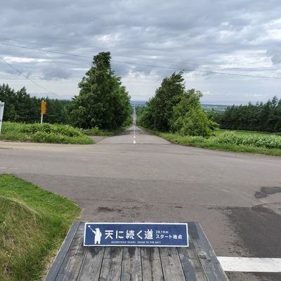 tkosaki's profile picture. 瀬戸際の博士課程の学生だと思いこんでいたら在学期間の計算ミスでまだ余裕があったが，単位取得満期退学しました．事務職で働いていますが、まだまだこりずに研究中。