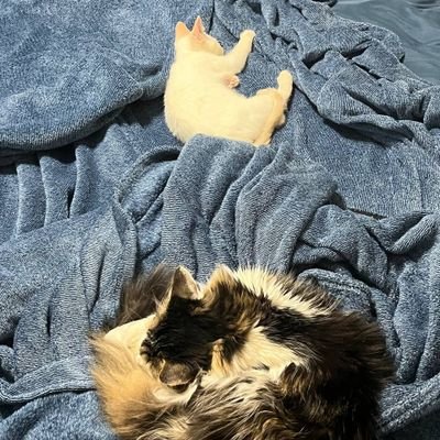 AshelyWils51570's profile picture. freaky to chat with 💦🥵 ❤️ 
friendly