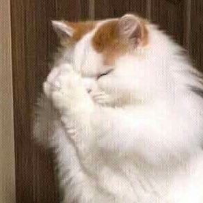 fv_nl___'s profile picture. 20になりました 高校卒済みです ただの見る専垢、愚痴垢なのでフォロー返ししなくて大丈夫です✋生きる糧