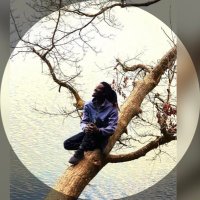 Omzo ๐ซ๐ฒ๐ฝ๐ฐ (@bayeomzo) 's Twitter Profile