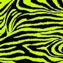 Tasha Hoffman - @Sillsilly - Twitter