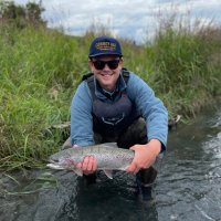 Matt Fossey (@foss1978) 's Twitter Profile