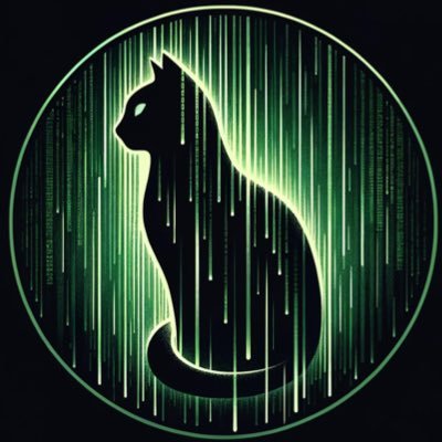 I'm just a cat in the Matrix... I mean, excuse me... Catrix... meow 🐈‍⬛ https://t.co/PhpXcLuhui