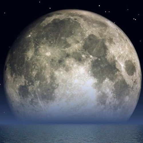 brimfulofrocks's profile picture. 