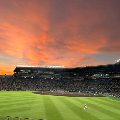 タイガースファン ノイジー推しですOBだと鳥谷推しです