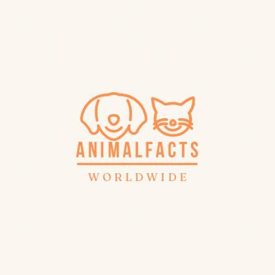 •Animal Content 🐾 •Awesome Facts 🪴•Weekly Content 🗓️