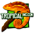 Tropical Inc