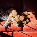 Larry Back - @LarryBack24802 - Twitter