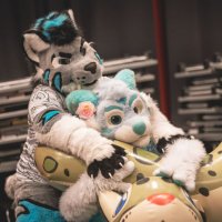 Wiesel 🔜 MFF, NFC (@tigwiesel) 's Twitter Profile