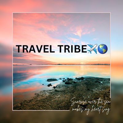 Travel Tribe Agency helps interested content creators promote their talents and brand while being a paid host. If interested DM..we will get you started!