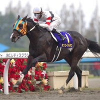 ロサ (@rosapirca) Twitter profile photo